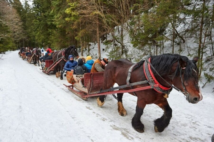 Horse Sleigh 2-3h Ride with Hot Springs or Zakopane Combos - Chocholów Village and Wooden Chapels: The Cultural Warm-Up