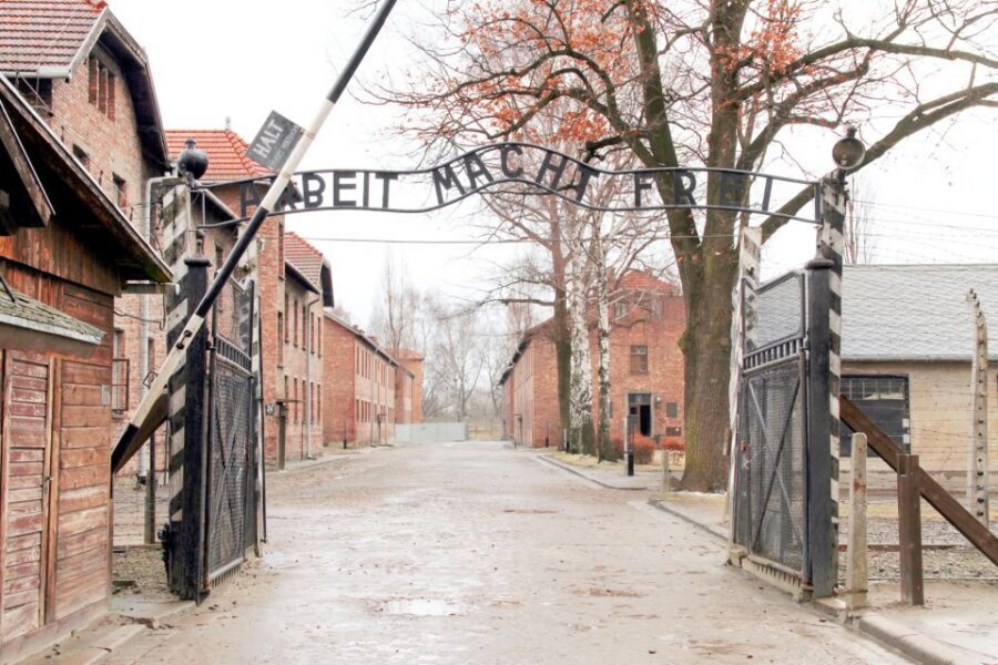 Krakow: Auschwitz-Birkenau and Salt Mine Guided Tour - Wieliczka Salt Mine: sculptures and chambers that feel unreal