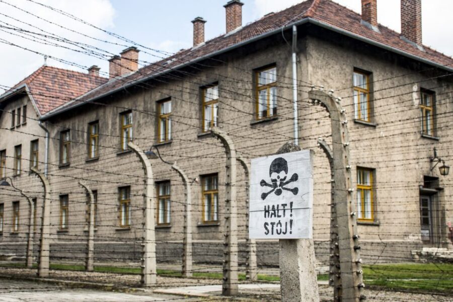 Krakow: Auschwitz-Birkenau and Salt Mine Guided Tour - Timing, breaks, and how to survive 11 hours without melting