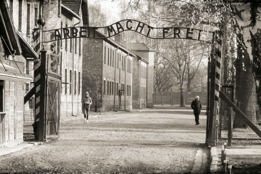Krakow: Auschwitz-Birkenau and Salt Mine Guided Tour - Who this tour fits best (and who should reconsider)