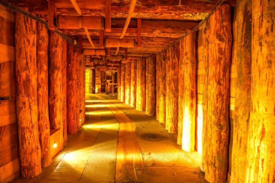 Krakow: Auschwitz-Birkenau and Wieliczka Salt Mine Day Trip - A 11-Hour Combo Day That’s Meaningful and Manageable