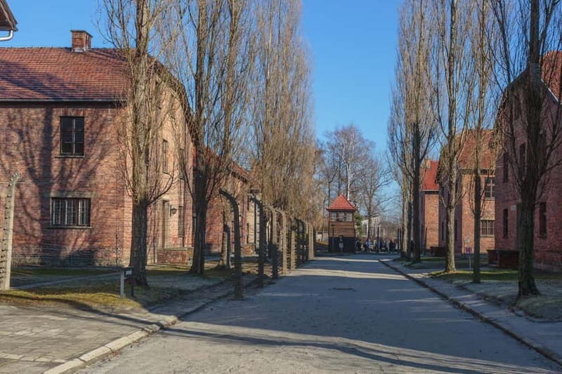 Krakow: Auschwitz-Birkenau Entry Ticket and Transfer - Auschwitz II-Birkenau: Where the System Became Mass Killing