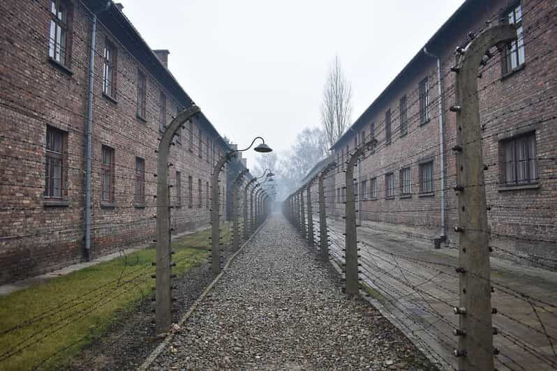 Krakow: Auschwitz-Birkenau Guided Tour or Self-Guided Tour - Key moments that make this tour worth your time