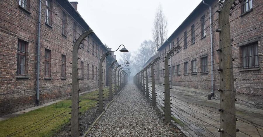 Krakow: Auschwitz-Birkenau Guided Tour or Self-Guided Tour - Practical prep: ID, bag size, and what not to bring