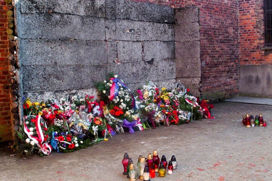 Krakow: Auschwitz-Birkenau Guided Tour or Self-Guided Tour - Transport and meeting points: getting there without stress