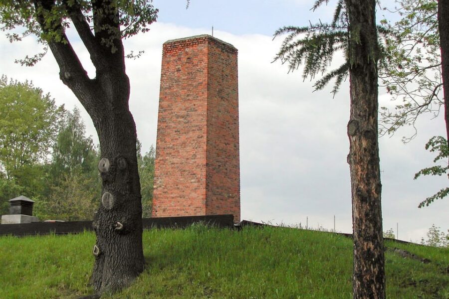 Krakow: Auschwitz-Birkenau Guided Tour or Self-Guided Tour - Price and value: about $16, but read what’s included