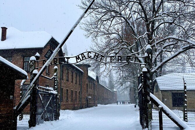 Krakow: Auschwitz - Birkenau Guided Tour with Private Transport - Who This Tour Suits Best
