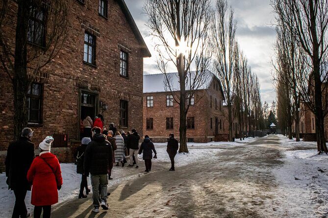 Krakow: Auschwitz-Birkenau Guided Tour with Ticket and Transfer - Meeting point and transfers: getting out of Krakow without stress