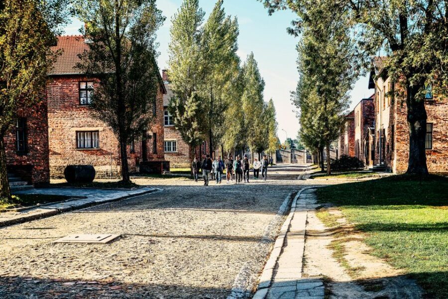 Krakow: Auschwitz-Birkenau Live Guided Tour & Hotel Pickup - Birkenau: Barracks, Fences, and the Scale You Can’t Ignore