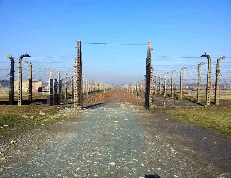 Krakow: Auschwitz-Birkenau Memorial Tour with Optional Lunch - Key points I’d plan around before you go