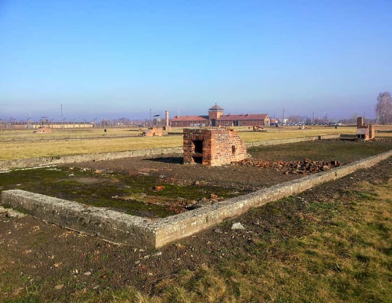 Krakow: Auschwitz-Birkenau Memorial Tour with Optional Lunch - Should you book this tour?