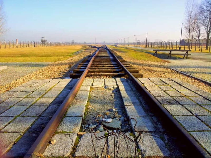 Krakow: Auschwitz-Birkenau Memorial Tour with Optional Lunch - How the day typically runs from Krakow (and why timing feels weird)