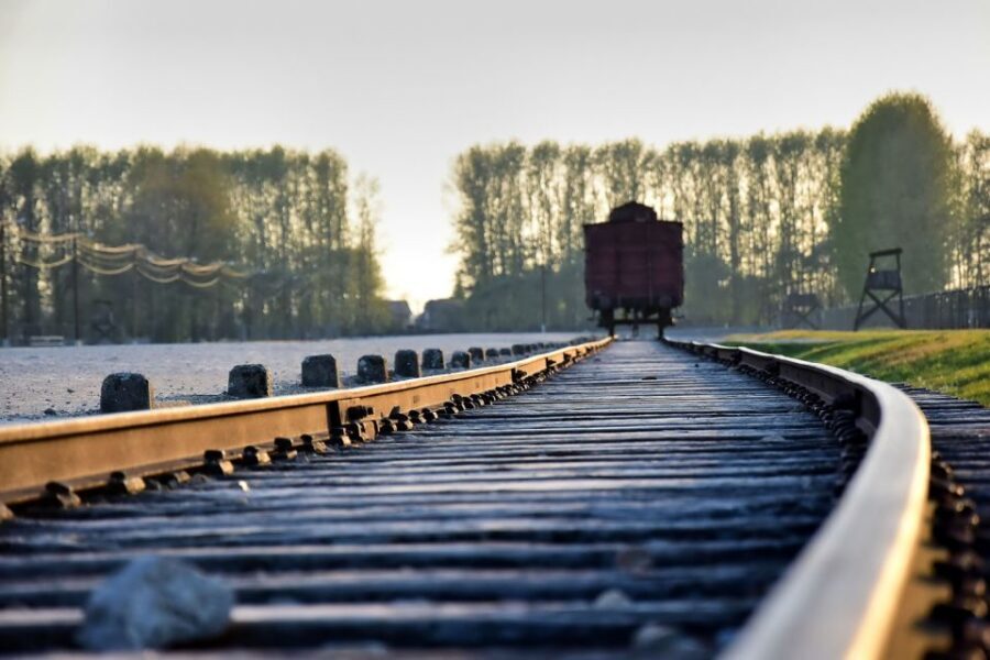 Kraków: Auschwitz-Birkenau & Salt Mine Full-Day Guided Tour - Key highlights to know before you go