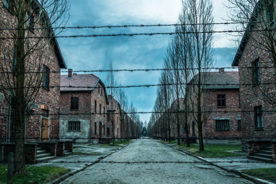 Kraków: Auschwitz-Birkenau & Salt Mine Full-Day Guided Tour - The guides: where the experience really becomes clear