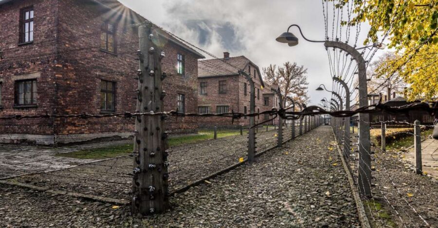 Kraków: Auschwitz-Birkenau & Salt Mine Full-Day Guided Tour - Auschwitz I: Arbeit macht frei, preserved spaces, and a guided lesson