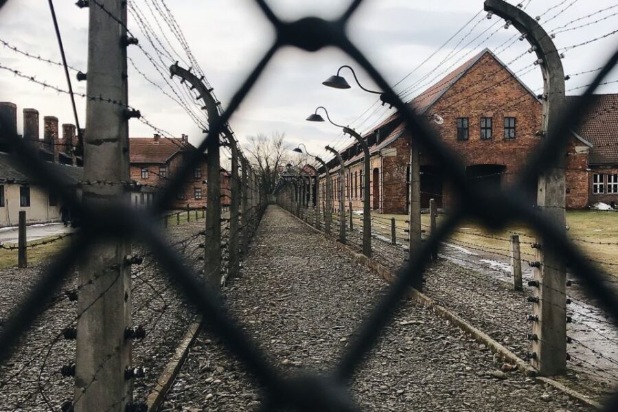 Krakow: Auschwitz-Birkenau Tour Limited to 15 Visitors - Skip the Line: What It Buys You (Besides Time)