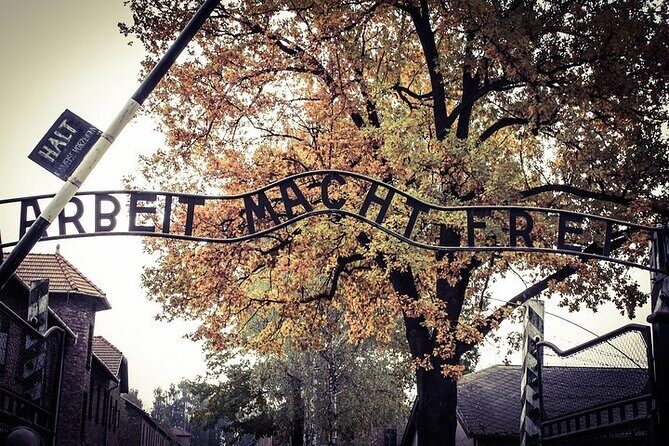 Krakow: Auschwitz-Birkenau Tour & Museum Expert Guide - Who should book this Auschwitz-Birkenau tour from Krakow?