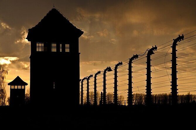 Krakow: Auschwitz-Birkenau Tour & Museum Expert Guide - Birkenau (Auschwitz II) in Brzezinka: why the lecture matters