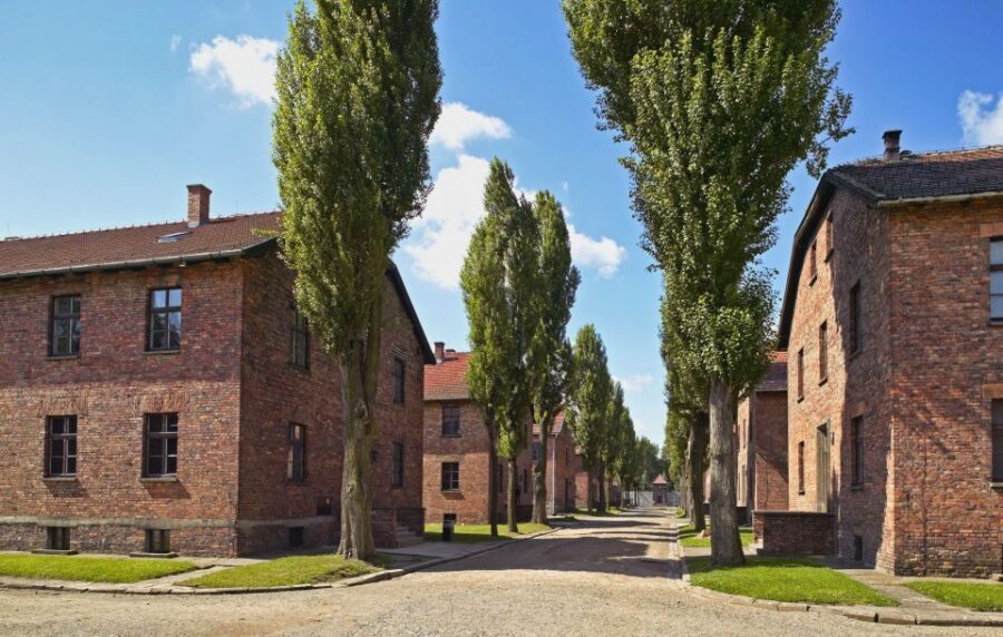 Krakow: Auschwitz Guided Tour with Optional Hotel Pickup - Auschwitz-Birkenau From Krakow: what this guided day really covers