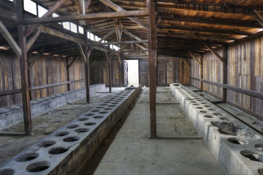 Krakow: Auschwitz Guided Tour with Pickup and Optional Lunch - Guides on this tour: compassion plus clarity