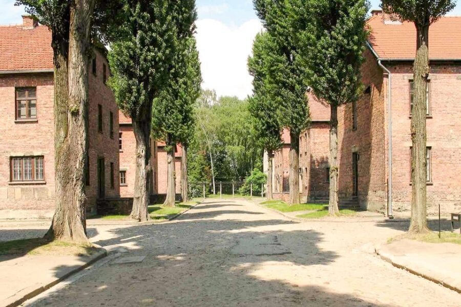 Krakow: Auschwitz & Wieliczka Salt Mine Guided Day Tour - When This Tour Might Not Be Your Fit