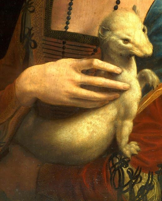 Krakow: Czartoryski Museum Guided Tour in English - Price and what you’re really paying for