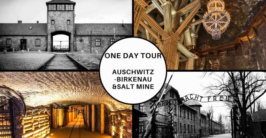Krakow: Full-Day Auschwitz-Birkenau & Salt Mine Guided Tour - Auschwitz-Birkenau: What the Guided Walk Gives You