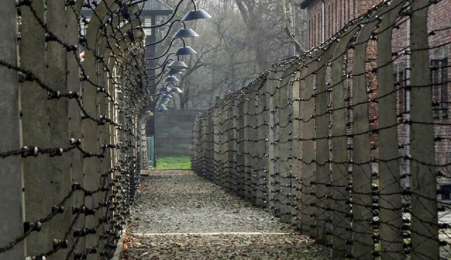 Krakow: Full-Day Auschwitz-Birkenau & Salt Mine Guided Tour - Salt Carvings and Bas-Reliefs: Why the Mine Part Feels So Memorable