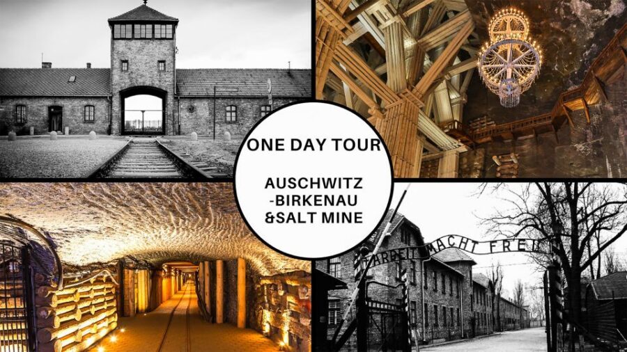 Krakow: Full-Day Auschwitz-Birkenau & Salt Mine Guided Tour - Starting in Kraków: Meeting Point, Pickup, and Timing Reality