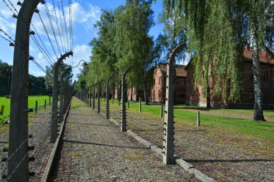 Krakow: Guided Auschwitz Birkenau Tour - Auschwitz I: prison blocks, exhibitions, and the emotional weight of details