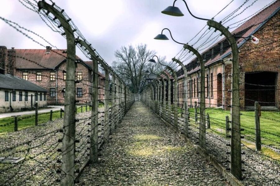 Krakow: Guided Auschwitz-Birkenau Tour - Minivan Transport - How the early minivan plan works (and why it matters)