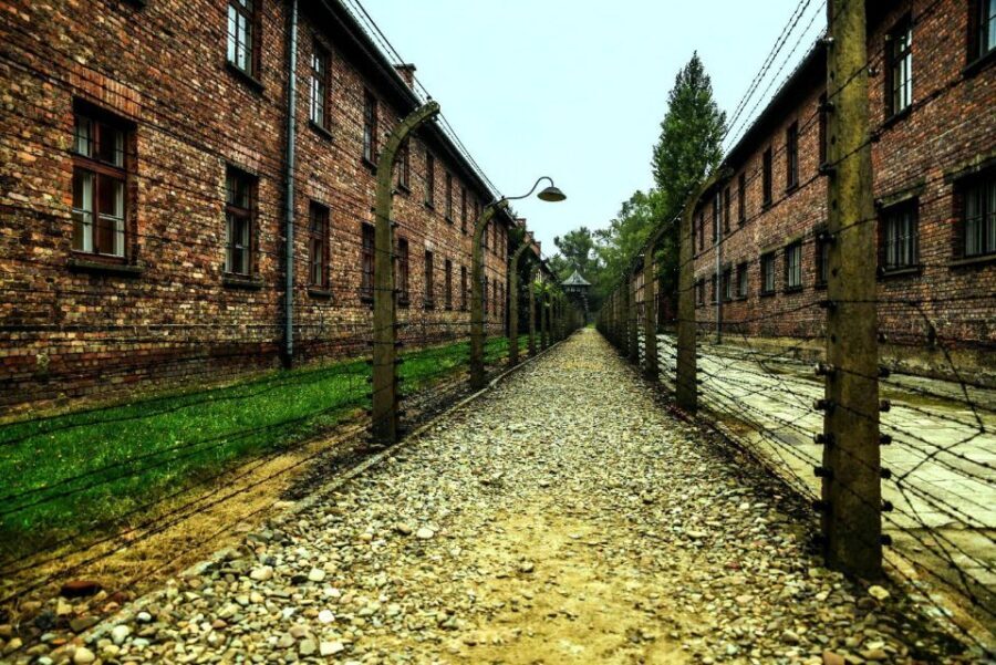 Krakow: Guided Auschwitz-Birkenau Tour - Minivan Transport - Skip-the-line entry: what you gain at Auschwitz