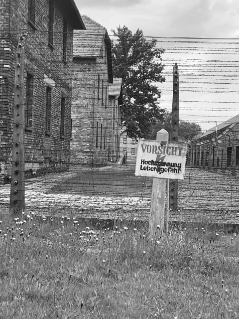 Krakow: Guided Auschwitz-Birkenau Tour - Minivan Transport - What the guide and driver do for you (beyond facts)
