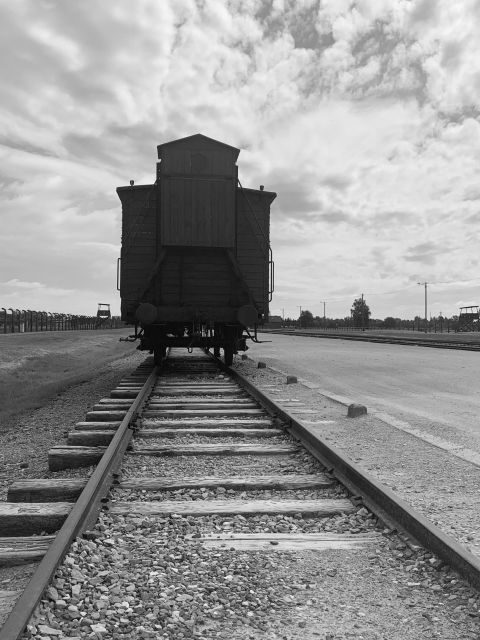Krakow: Guided Auschwitz-Birkenau Tour - Minivan Transport - Value for money: the $21 price and what you still need to plan