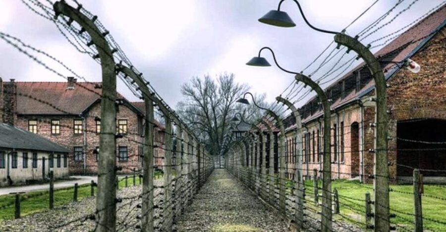Krakow: Guided Auschwitz-Birkenau Tour - Minivan Transport - Timing and expectations: it’s not a casual tour