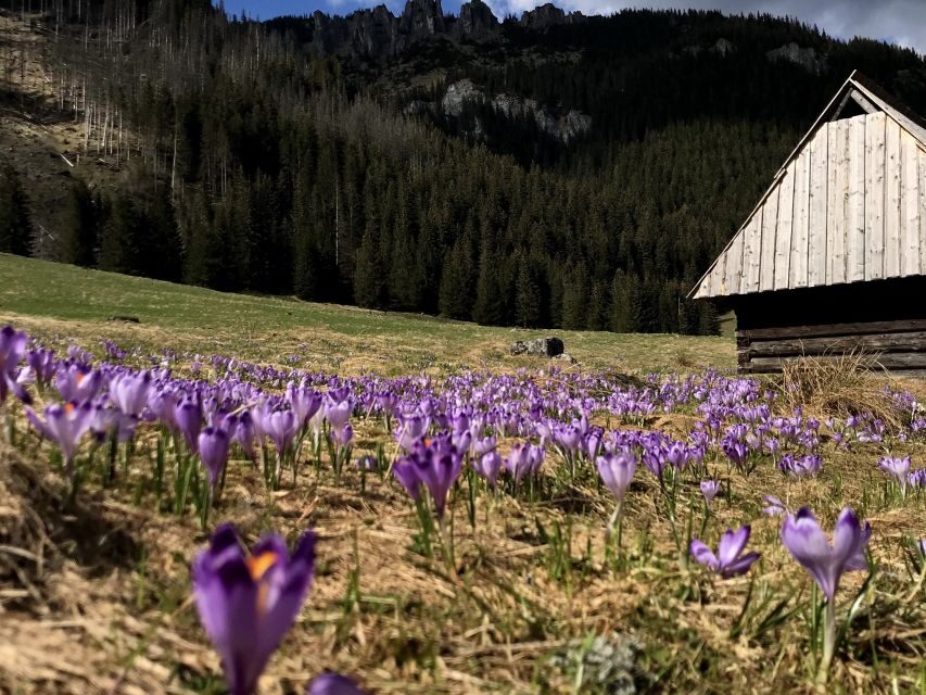 Krakow: Hiking Adventure in Tatra Mountains & Thermal Baths - Your Mountain Break: The Hut Lunch Moment