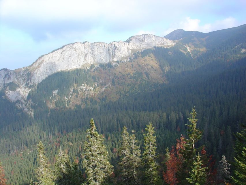 Krakow: Tatra Mountains and Zakopane Full-Day Private Tour - Villa Atma and the wooden-art side of Zakopane’s past