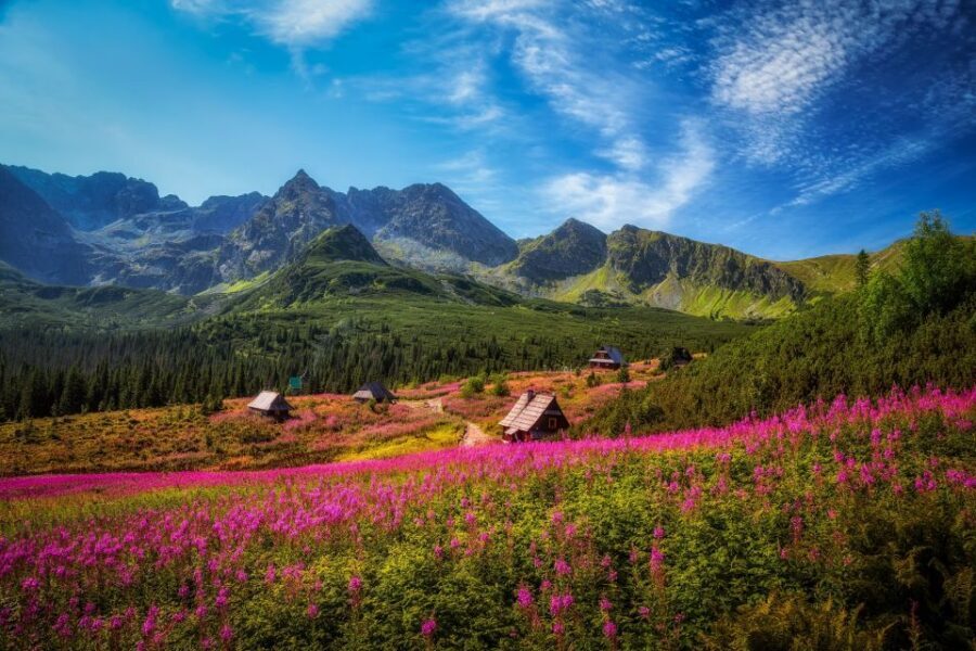 Krakow: Tatra Mountains and Zakopane Full-Day Private Tour - Zakopane’s Krupowki Street: The main drag that feels like a postcard