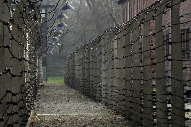 Krakow to Auschwitz Birkenau Guided Tour with Ticket and Transfer - Skip-the-line: what you’re likely paying for (and what can still go wrong)