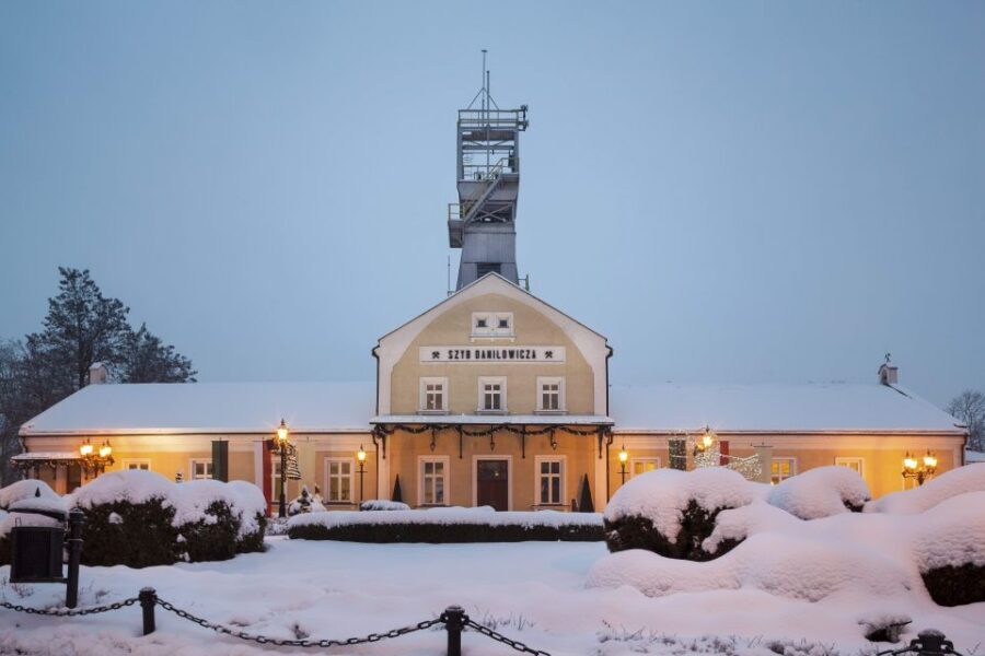 Krakow: Wawel Castle, Cathedral, Salt Mine, and Lunch - Key highlights you’ll care about