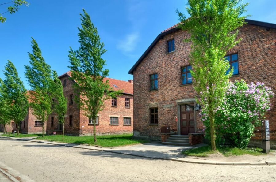 Krakow: Wieliczka Salt Mine and Auschwitz-Birkenau Tour - Key things to know before you book