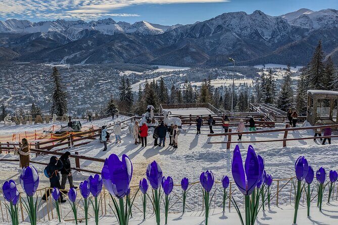 Krakow Zakopane Cable Car Vodka Cheese and Hot Springs Tour - The vodka and smoked cheese tasting: included, regional, and your choice