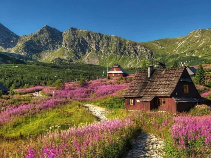 Krakow: Zakopane, Morskie Oko, and Cheese Tasting Tour - Morskie Oko in Tatra National Park: Walk It (or Ride Partway)