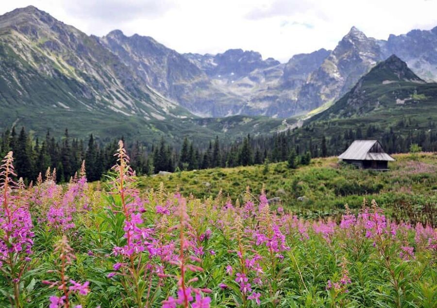Krakow: Zakopane, Morskie Oko, and Cheese Tasting Tour - Timing and Logistics: How the Day Stays Comfortable