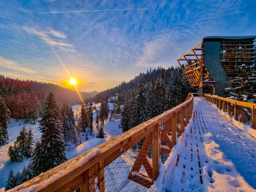 Krakow: Zakopane, Mountains Treetop Walk & Thermal Baths - Key Things You’ll Notice on This Krakow–Zakopane Day