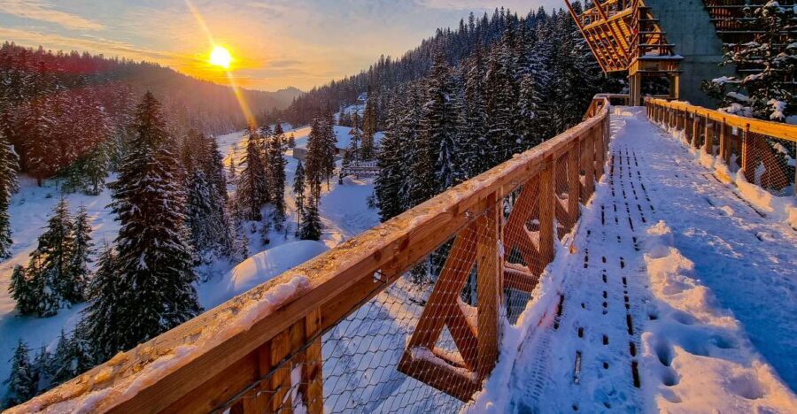 Krakow: Zakopane, Mountains Treetop Walk & Thermal Baths - Sky Walk Poronin: A Treetop Adventure Over the Tatras