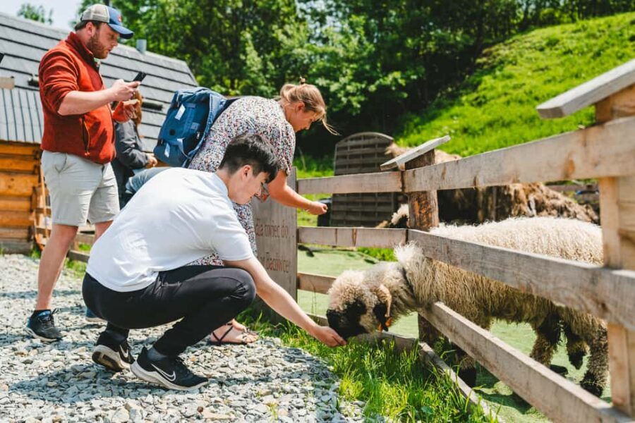 Krakow: Zakopane One Day Trip with Funicular & Thermal Pools - Key Points You’ll Care About