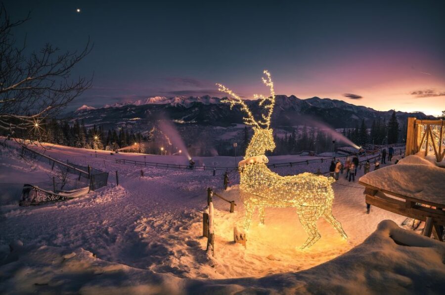 Krakow: Zakopane, Thermal Springs, Cable Car, Local Tasting - Zakopane free time and Krupówki Street for lunch, shops, and strolling
