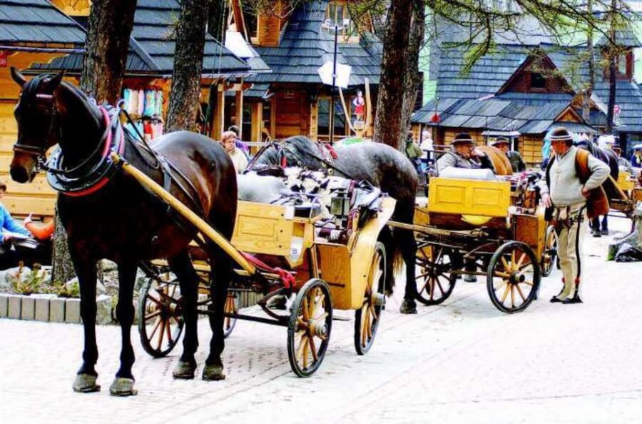 KRAKOW ZAKOPANE TOUR CABLE CAR THERMAL BATHS & HOTEL PICKUP - Who this tour fits best