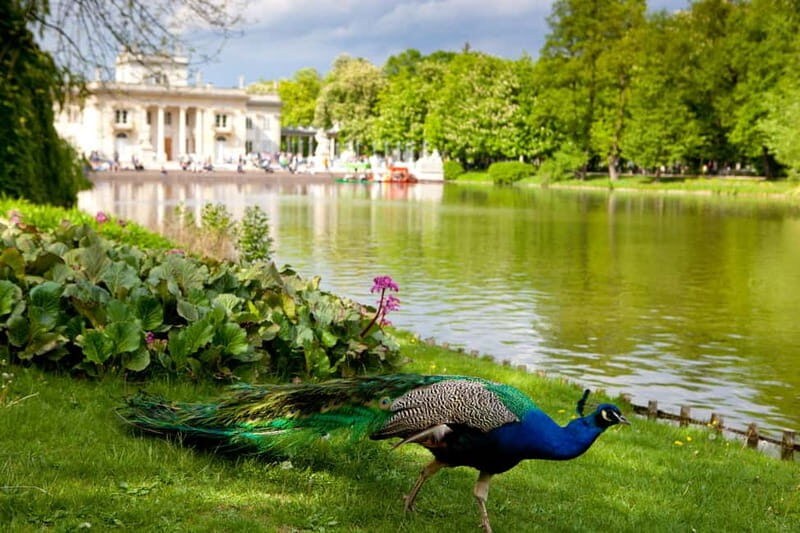 Łazienki Park and Palace Warsaw Private Tour with Tickets - Meeting Point at the Embassy of Sweden and How Pickup Works
